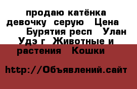 продаю катёнка девочку  серую › Цена ­ 200 - Бурятия респ., Улан-Удэ г. Животные и растения » Кошки   
